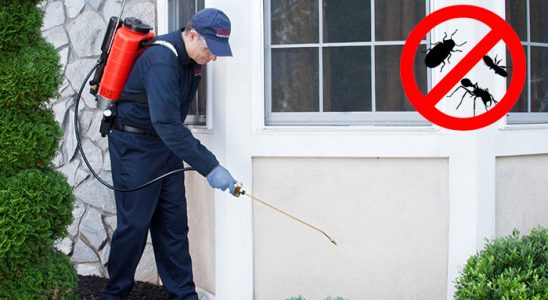 Arpaçay Kemirgen İlaçlama böcek ilaçlama ve haşere kontrolü — ilaclama-tr.com
